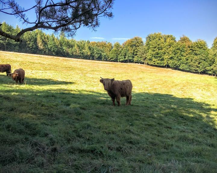 Gasthof & Pension Zur Zeitenwende